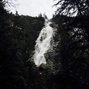 Meet your Posher, Owen